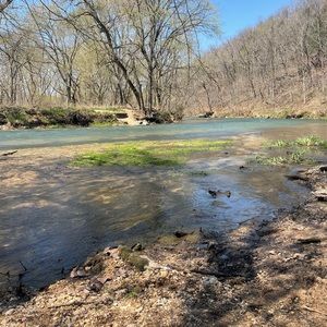 Meet your Posher, Deidra